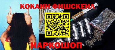 стафф Кудрово