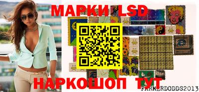 стафф Кудрово