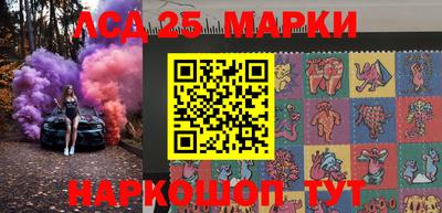 стафф Кудрово