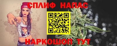 стафф Кудрово