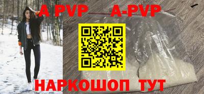 стафф Кудрово