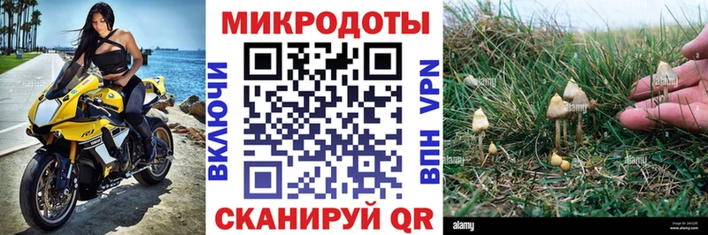 Галлюциногенные грибы MAGIC MUSHROOMS  KRAKEN рабочий сайт  Южно-Сахалинск 