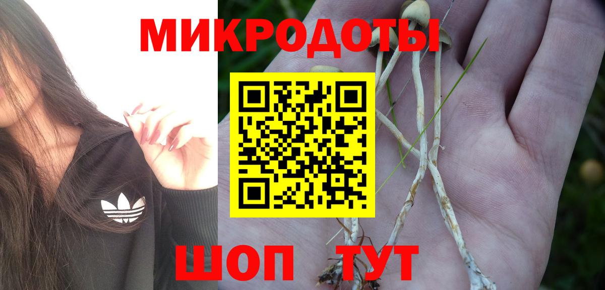 Псилоцибиновые грибы MAGIC MUSHROOMS  Вход с VPN  Псилоцибиновые грибы мицелий  Южно-Сахалинск 